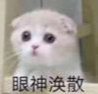 卓青深