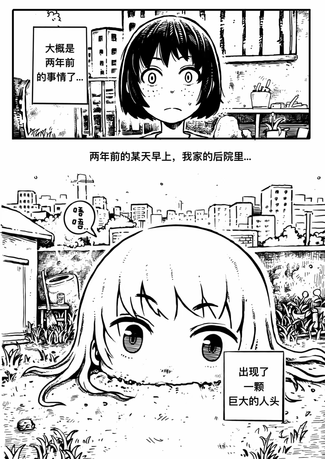 后院