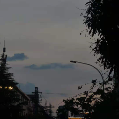 一池碎片