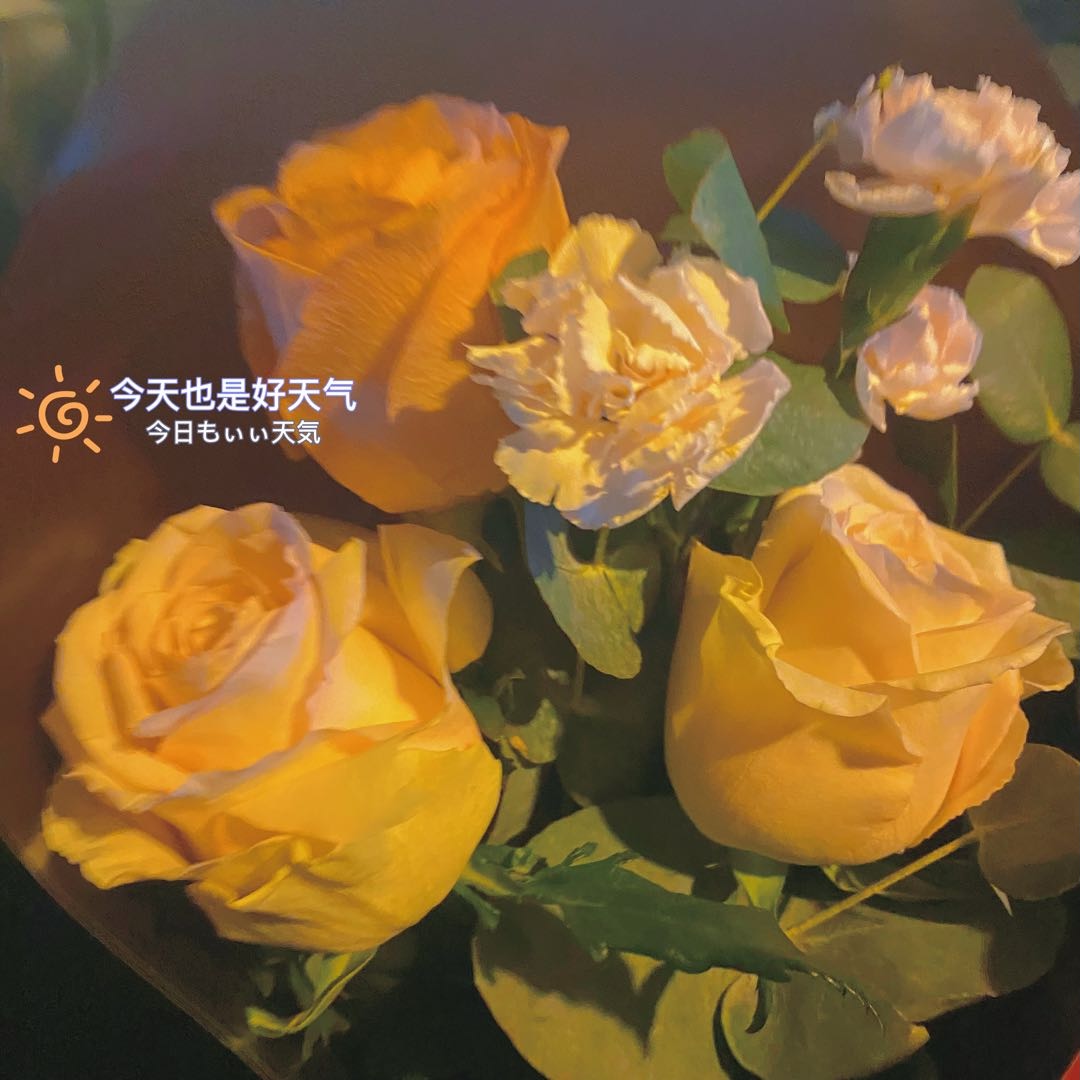 一坨顾瑾瑜