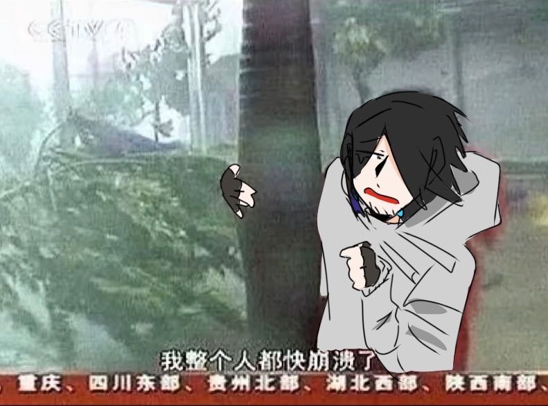 查无此兰