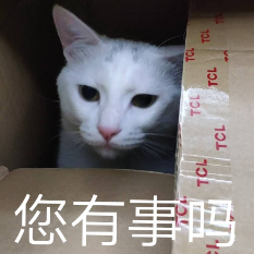 Karenncat