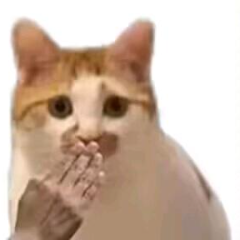 Arnocn