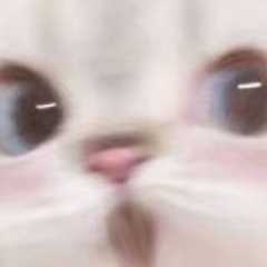 慕泷丶Cyalo