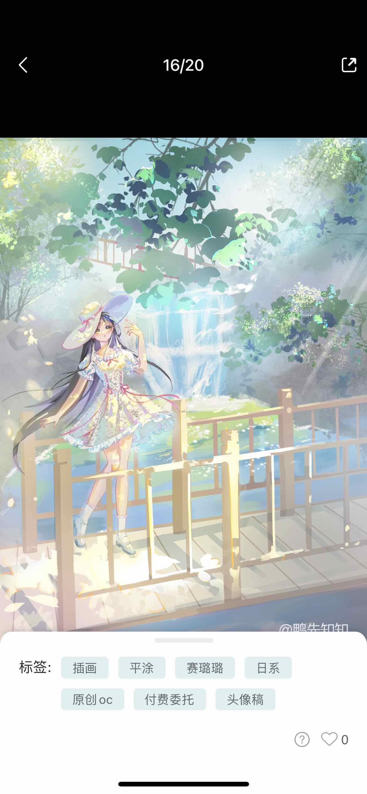 鸭先知