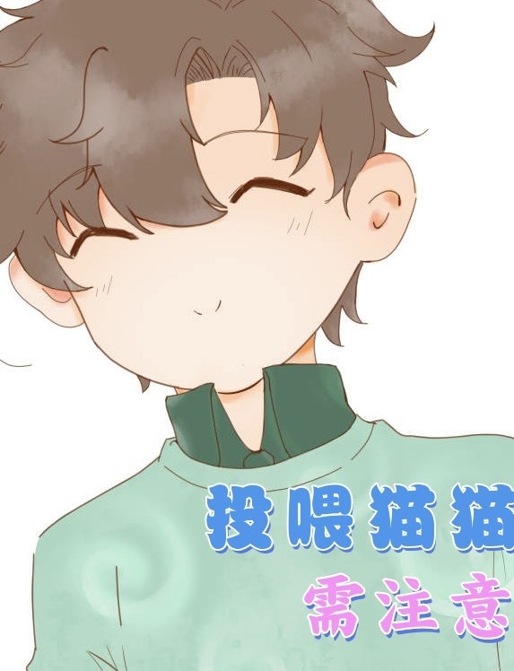 投喂猫猫需注意