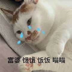 乐了